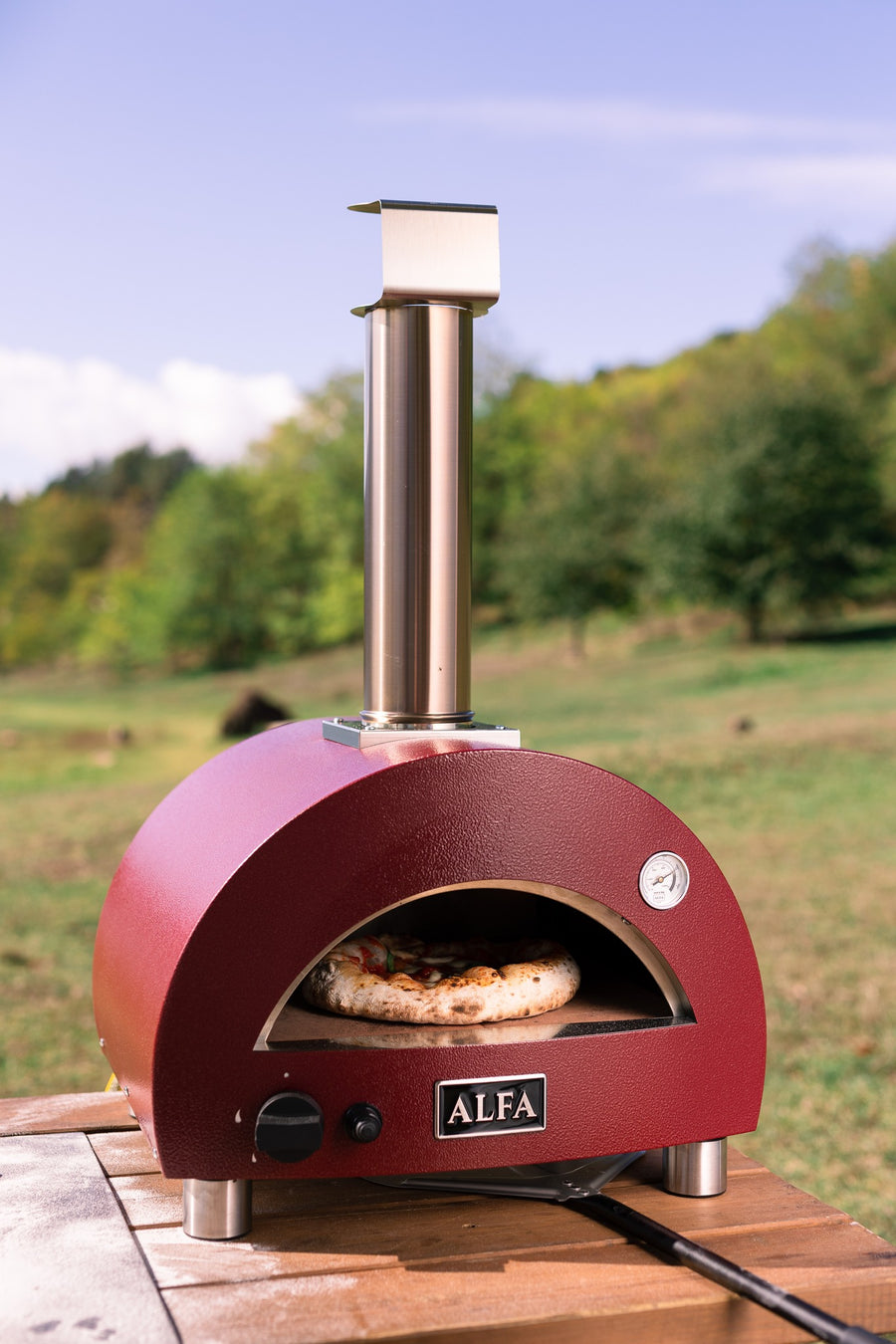 Alfa Pizza Ovens gallery